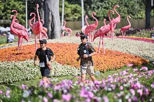 BIB: 
                            <button type="button" onclick="openModal(27793870)" class="btn btn-primary btn-sm float-right btn-popup" data-toggle="modal" data-target=".modal-high-quality">
                        <i class="fas fa-shopping-cart"></i> Add to Cart
                    </button>
                                            <button type="button" onclick="isThisMe(27793870, true)" class="btn btn-success btn-sm float-right btn-popup btn-isme hidden" data-toggle="tooltip" data-placement="bottom" title="นี่คือรูปของคุณใช่ไหม คลิกที่นี่เพื่อเอาเข้าอัลบั้ม">
                        <i class="fas fa-plus"></i> Add to album
                    </button>
                    <button type="button" onclick="isThisMe(27793870, false)" class="btn btn-warning btn-sm float-right btn-popup btn-isnotme hidden">
                        <i class="fas fa-ban"></i> Remove from album
                    </button>